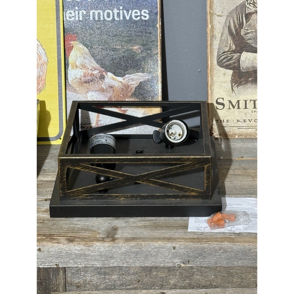 Flush Mount Ceiling Light Fixture Modern Farmhouse Industrial Metal Cage 2Pack‎